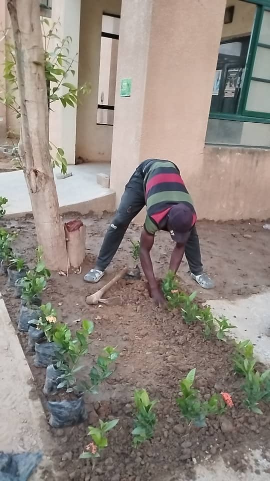 Nursery Establishment